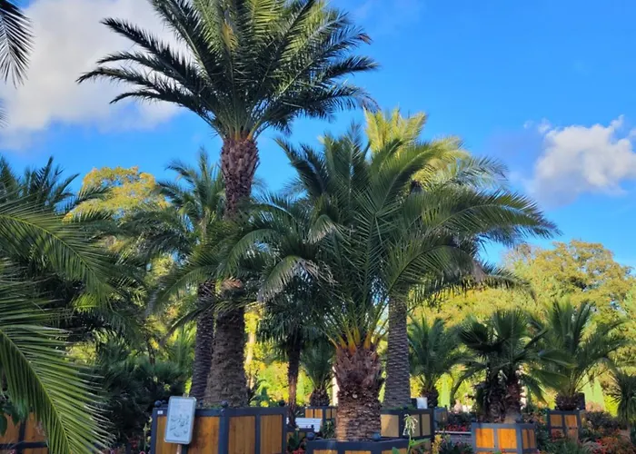 Διαμέρισμα Mercedes 4 Personen Parkplatz Zentrum Bad Pyrmont